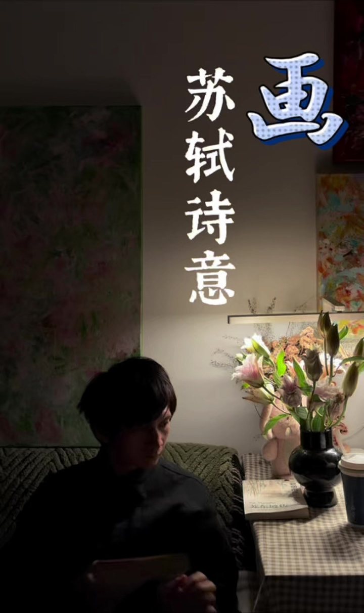 问汝平生功业，黄州惠州儋州 视频封面